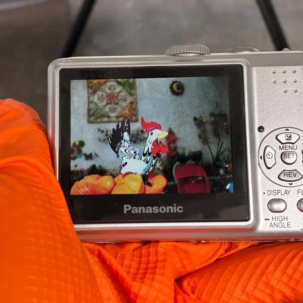 Panasonic Lumix DMC-LS75 7.2 Megapixel Digital Camera